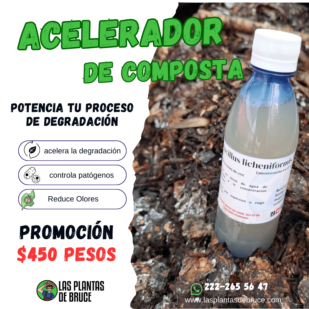 Producto Biocompoz — Formulación de Bacillus para acelerar tu composta