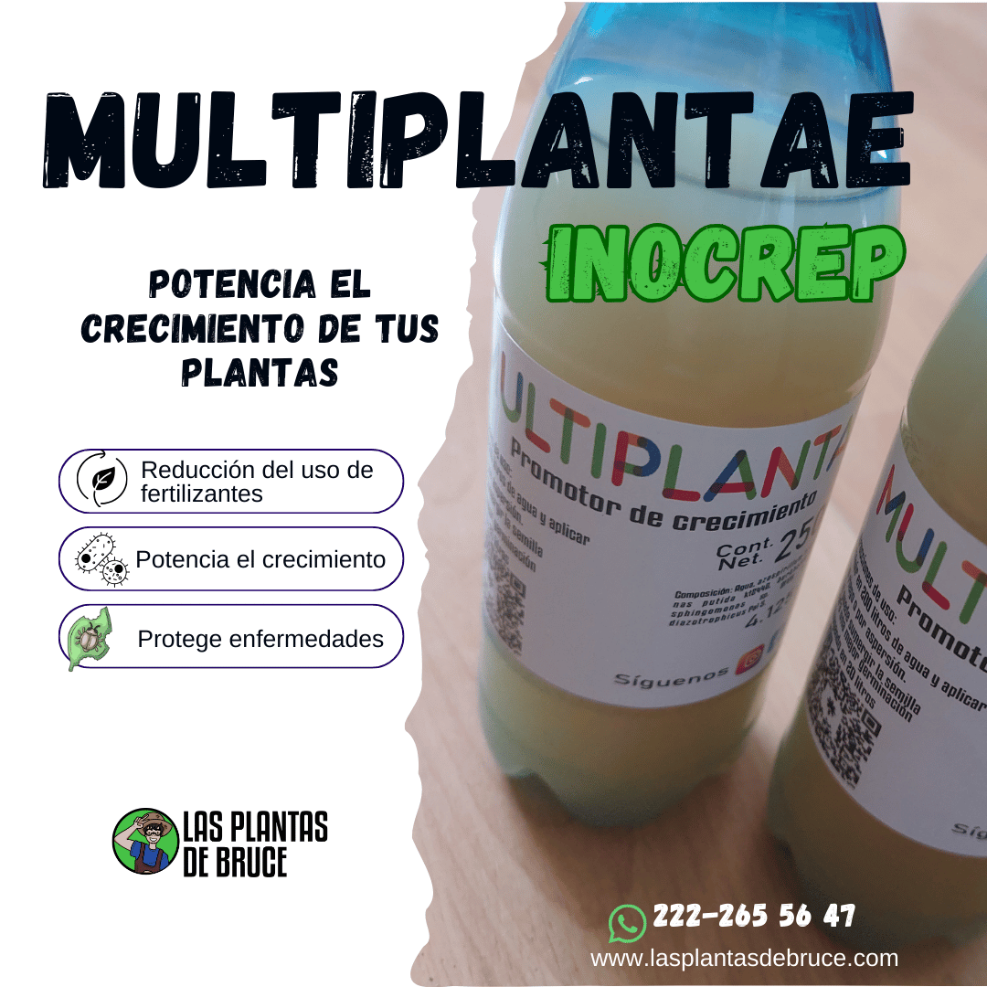 Producto MULTIPLANTAE — Multiinoculante con microorganismos sinérgicos