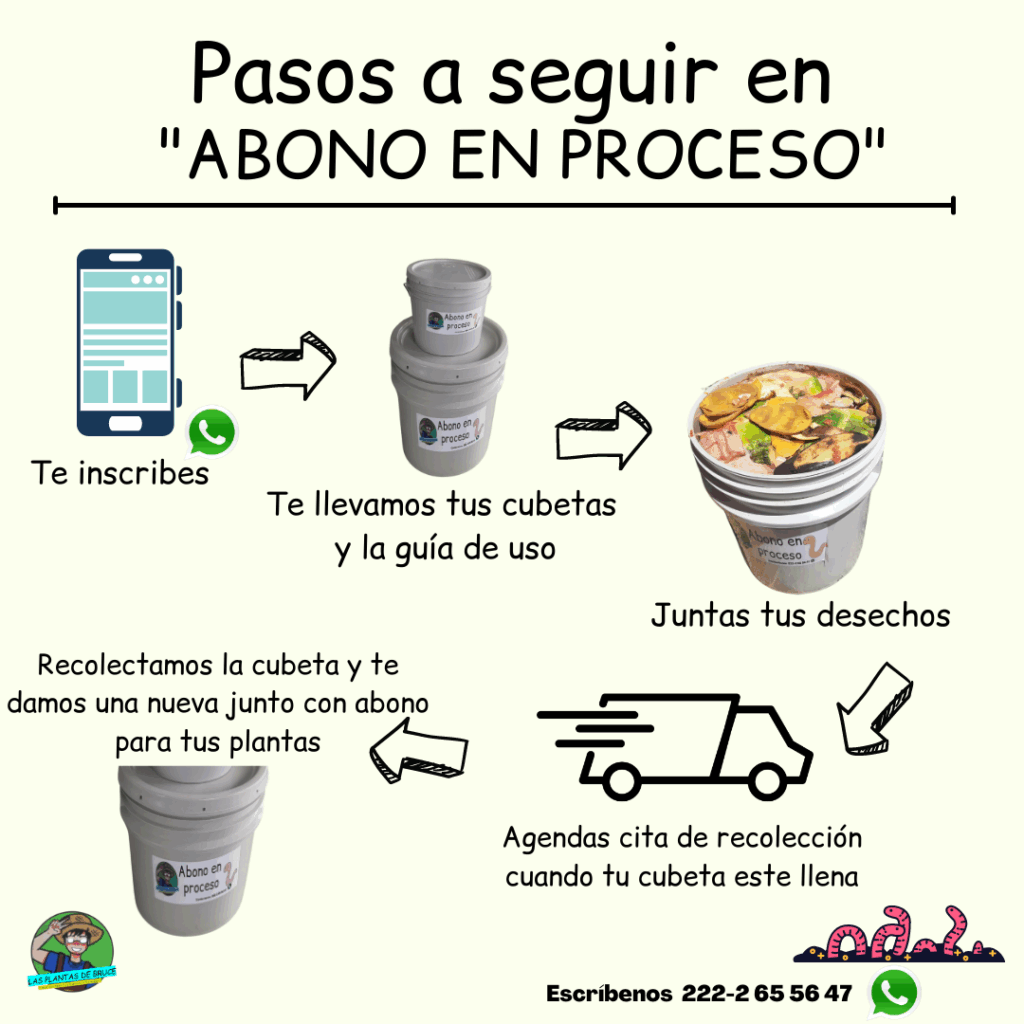 Inscripcion de abono en proceso