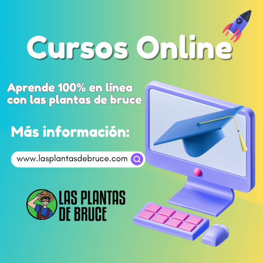 CURSOS ONLINE