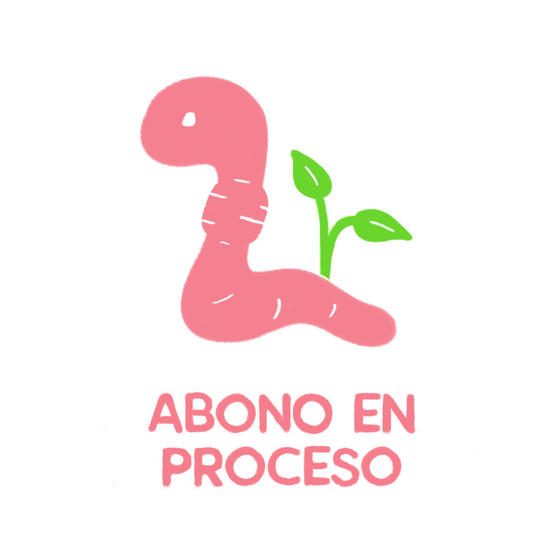 ABONO EN PROCESO