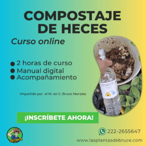 COMPOSTAJE DE HECES CANINAS
